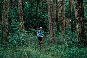 BIB: 
                            <button type="button" onclick="openModal(25237478)" class="btn btn-primary btn-sm float-right btn-popup" data-toggle="modal" data-target=".modal-high-quality">
                        <i class="fas fa-shopping-cart"></i> Add to Cart
                    </button>
                                            <button type="button" onclick="isThisMe(25237478, true)" class="btn btn-success btn-sm float-right btn-popup btn-isme hidden" data-toggle="tooltip" data-placement="bottom" title="นี่คือรูปของคุณใช่ไหม คลิกที่นี่เพื่อเอาเข้าอัลบั้ม">
                        <i class="fas fa-plus"></i> Add to album
                    </button>
                    <button type="button" onclick="isThisMe(25237478, false)" class="btn btn-warning btn-sm float-right btn-popup btn-isnotme hidden">
                        <i class="fas fa-ban"></i> Remove from album
                    </button>